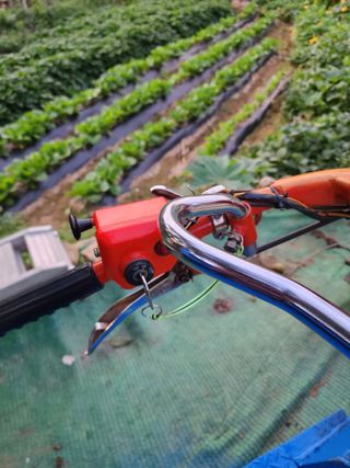 포도10042님의 최고의 제초제는 무엇인가요? · 참여 작성글 사진