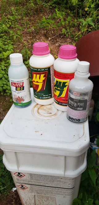 최대영님의 감자 · 자유게시판 작성글 사진