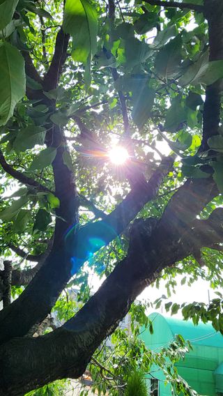 꽃실님의 자유주제 · 자유게시판 작성글 사진