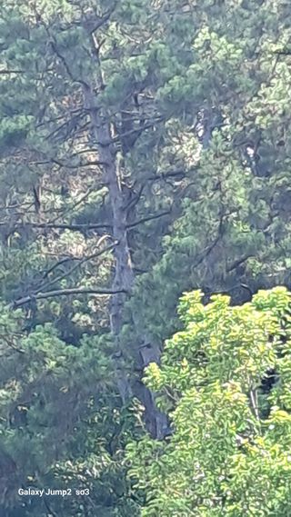 김광국님의 자유주제 · 자유게시판 작성글 사진