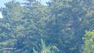 김광국님의 자유주제 · 자유게시판 작성글 사진