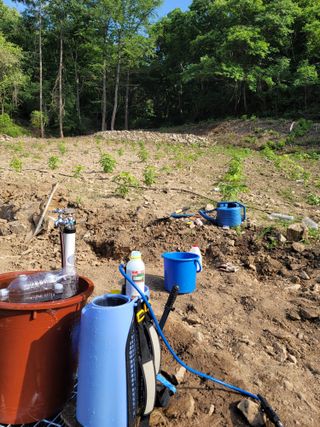 Kbcn님의 최고의 제초제는 무엇인가요? · 참여 작성글 사진