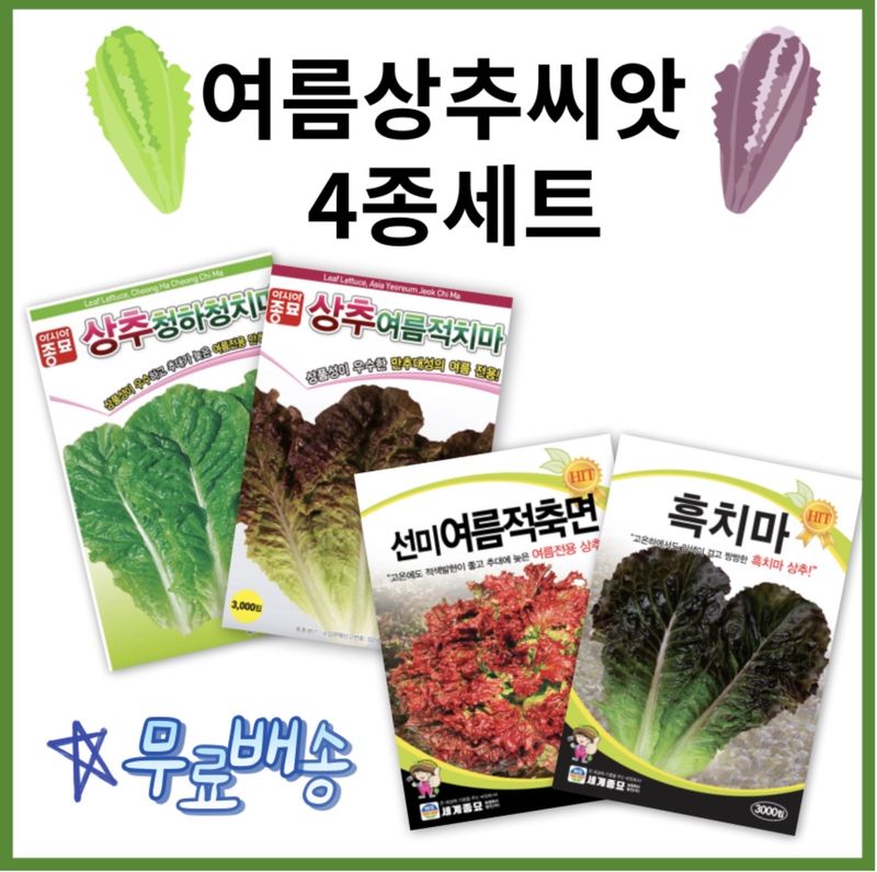 장터 상품 [여름상추씨앗 4종세트] 썸네일