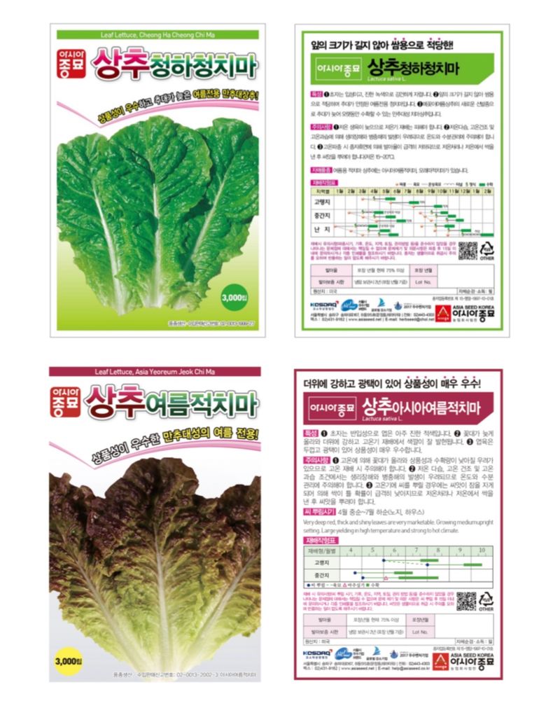 주주씨앗님의 장터 판매 상품 [여름상추씨앗 4종세트] 첨부 사진