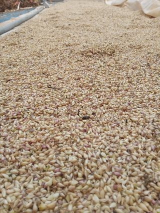 조성국님의 작성글 사진