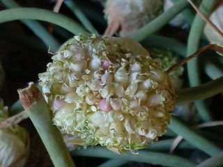 조성국님의 작성글 사진