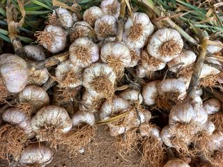 조성국님의 작성글 사진