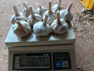 조성국님의 작성글 사진