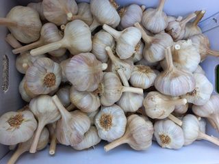 조성국님의 작성글 사진