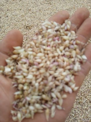 조성국님의 작성글 사진