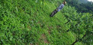 주주농장님의 작성글 사진