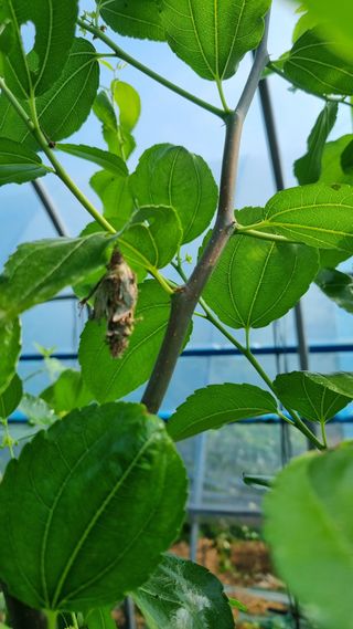 오학봉(멀티팜)님의 자유주제 · 자유게시판 작성글 사진