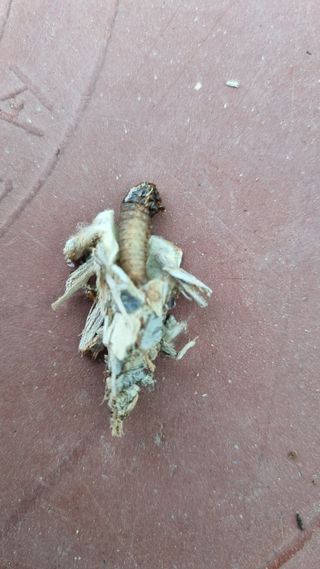 오학봉(멀티팜)님의 자유주제 · 자유게시판 작성글 사진