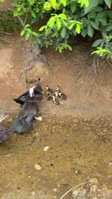 팜모닝 자유주제·자유게시판 게시글 이미지