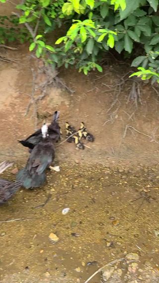 마골산늑대님의 자유주제 · 자유게시판 작성글 사진