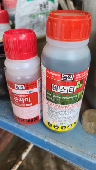 김명철님의 최고의 제초제는 무엇인가요? · 참여 작성글 사진