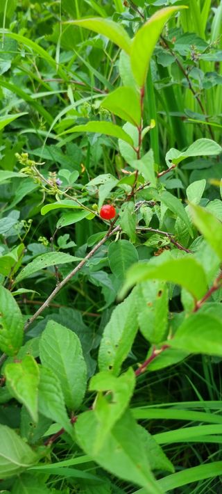 이찬암님의 장터이야기 · 자유게시판 작성글 사진