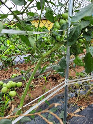 물안개님의 자유주제 · 자유게시판 작성글 사진