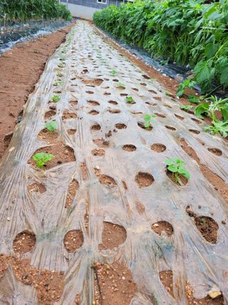물안개님의 자유주제 · 자유게시판 작성글 사진