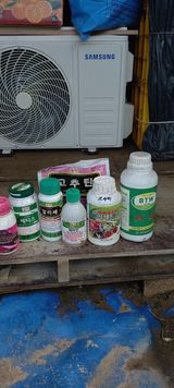 팜모닝 고추·영농일지 게시글 이미지