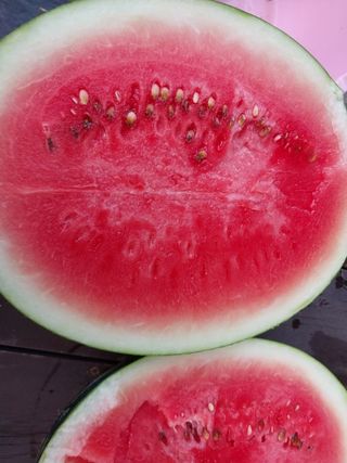 금동이네님의 기타작물 · 자유게시판 작성글 사진