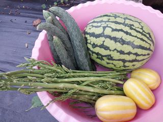 금동이네님의 기타작물 · 자유게시판 작성글 사진