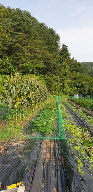 사과18413님의 우리동네 · 동네수다 작성글 사진