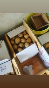 팜모닝 감자·자유게시판 게시글 이미지