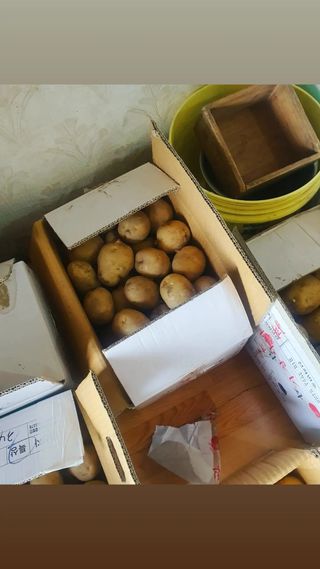 김문규님의 감자 · 자유게시판 작성글 사진