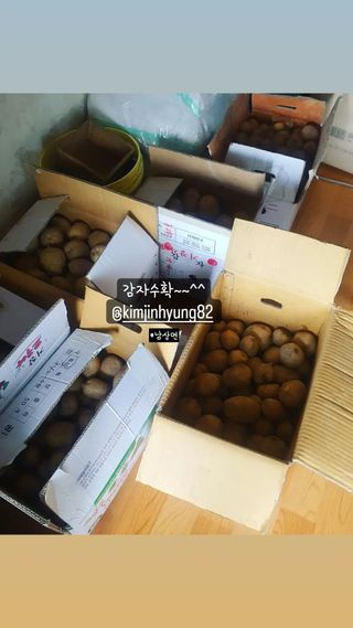 김문규님의 감자 · 자유게시판 작성글 사진