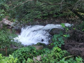 오형섭 님의 자유주제 · 자유게시판 작성글 사진