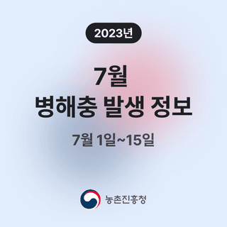 병해충발생정보님의 팜모닝공식 · 병해충발생정보 작성글 사진