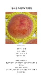 팜모닝 · 게시글 이미지