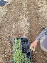 팜모닝 파·자유게시판 게시글 이미지