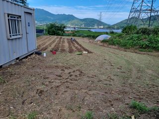 배지효님의 파 · 자유게시판 작성글 사진