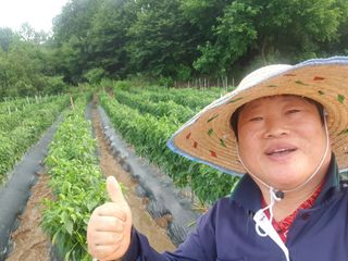 박귀님의 고추 · 일상 작성글 사진