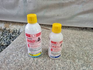 손석승(유성)님의 최고의 제초제는 무엇인가요? · 참여 작성글 사진