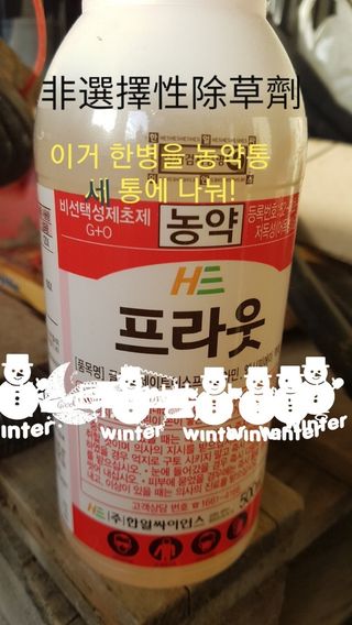 박지우님의 최고의 제초제는 무엇인가요? · 참여 작성글 사진