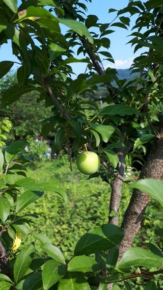 조세연님의 기타작물 · 자유게시판 작성글 사진