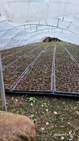 팜모닝 들깨·자유게시판 게시글 이미지