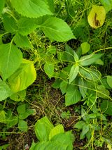 팜모닝 자유주제·자유게시판 게시글 이미지