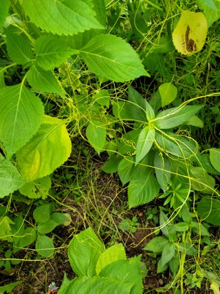 봄봄농원님의 자유주제 · 자유게시판 작성글 사진