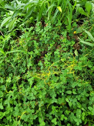 봄봄농원님의 자유주제 · 자유게시판 작성글 사진