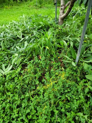 봄봄농원님의 자유주제 · 자유게시판 작성글 사진