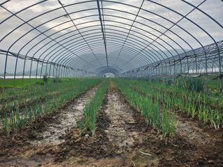 최정해님의 파 · 자유게시판 작성글 사진