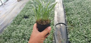 이은호님의 작성글 사진