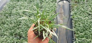 이은호님의 작성글 사진