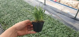 이은호님의 작성글 사진