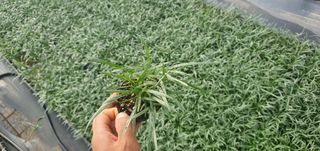 이은호님의 작성글 사진