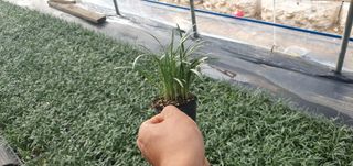 이은호님의 작성글 사진